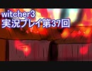 探し人を求めてwitcher3実況プレイ第37回
