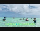天使の海ピクニックセイル　ひとりハワイの楽しみ方