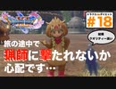 3D回のはずが、ほぼ２Dの旅になってしまいました…チーズ美味しいよね♪【ドラクエ11s3D#1８】ホムラの里旅立ち〜サマディー王国への関所の前まで。