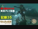 【寄り道ばかりの】ゼルダの伝説BotW【実況プレイ記録35】雷獣山の決闘