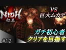 【ガチ初心者】過去に死にゲーを30分だけした男の仁王実況【#12 VS巨大ムカデ（人間）】