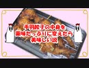 【ＮＷＴＲ料理研究所】薬味たっぷり手羽餃子＋おまけ