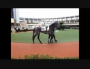 【現地映像と音声】競走馬の競走中止（結果予後不良）のアナウンスで笑う競馬ファン