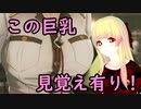 【CODE VEIN】紅い霧に閉ざされた滅びの街　２４【バ美肉実況プレイ】