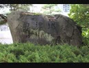 【天正十年】越中国魚津城 令和元年(2019) 晩秋