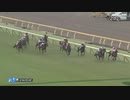 【競馬】第39回 ジャパンカップ (G1) 2019