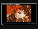 【悪ふざけ】生放送記録【みんなサイコパス】