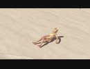 【DOAX3fortune】本日のグラビアパラダイスランダム 1080P/59.941fps