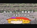 月一ゆっくり野菜栽培 2019年11月
