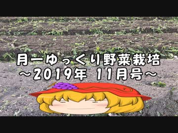 月一ゆっくり野菜栽培 2019年11月