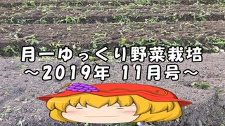 月一ゆっくり野菜栽培 2019年11月