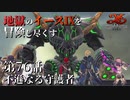 【イース９実況】地獄のイースⅨを冒険し尽くす　第76話【不遜なる守護者】