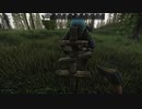 迫真ＥＦＴ部～0.12開始の裏技～.PPSH41