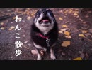 わんこ散歩