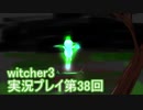 探し人を求めてwitcher3実況プレイ第38回