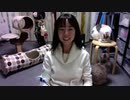 【猫の多頭飼い】ねこ姉さんふじ子のおしゃべり報告会 2019.11.30