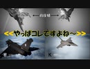 Ace Combat 7 Extra101 バトルロイヤル ケイジ氏とのタイマン総集編