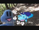 大ちゃんの山に登ったよ
