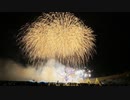【2019】長岡花火 ウインターファンタジー 「ミュージックスターマイン」