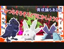 【ポケモン剣盾】第４話 「この壁を越えてゆけ」