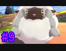 【ポケモン剣盾】物語をじっくり楽しみながら旅をする☆パート9【実況】