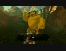 【実況】ハイラルサバイバル生活87【ブレスオブザワイルド】