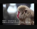 【ラップ】イエローモンキー【嘘八百】