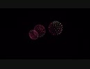 2019.11.30 （宮崎）みやざきシーサイド芸術花火 花火講座