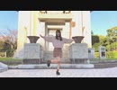 【初投稿】 lllトゥルティンアンテナlll 踊ってみた 【こくとう】