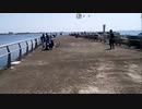 布団ちゃん『釣り』3枠目【2017/04/30】