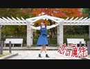 【ちゅい】恋の魔法【踊ってみた】
