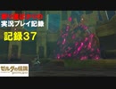 【寄り道ばかりの】ゼルダの伝説BotW【実況プレイ記録37】ヴァ・ルッタ奪還 後編