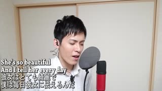 【歌ってみた】Bruno Mars - Just The Way You Are