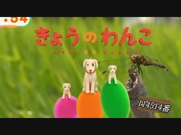 【改造ポケモン】もうおもろいことなんも思い浮かばないよ【第14話】