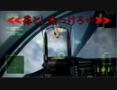 Ace Combat 7 Multiplayer492 バトルロイヤル Su-34 + HCAA