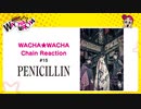 WACHA★WACHA Chain Reaction#15《PENICILLIN》