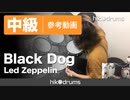 【参考動画】Black Dog