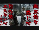 【実況】新約・加速するスカイリムの旅 Page410