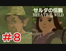 ゼルダ初心者とガチ勢のほのぼの伝説【ゼルダの伝説ブレスオブザワイルド実況：part8】