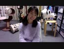 【猫の多頭飼い】ねこ姉さんふじ子のおしゃべり報告会 2019.12.1