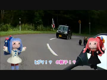 琴葉姉妹と！カブでどこまで行こうかな？Part.6