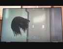 DEATH_STRANDING　再現不可能バグ(閲覧注意)