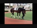 【現地映像】先入観なしに馬と父馬の名前だけでどこまで当てれる？パドッククイズ難易度B