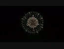 2019.11.30 （宮崎）みやざきシーサイド芸術花火 ①