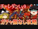 【パズドラ】チャレダンLv9　チュアン編成