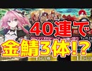 【FGO】40連で金鯖3体はもう大勝利でいいと思う【ガチャ】
