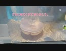 ハムスター飼いました。その84～きなこちゃんと1年と11カ月～