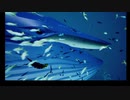 【ＡＢＺＵ】海は広いよ　part3