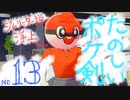 【ポケ剣】⑬もしかしてあなたがもう1人のジムリーダーさんですか！？【女性実況】
