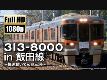 【JR東海】313系8000番台 in 飯田線 ～快速おいでん奥三河～